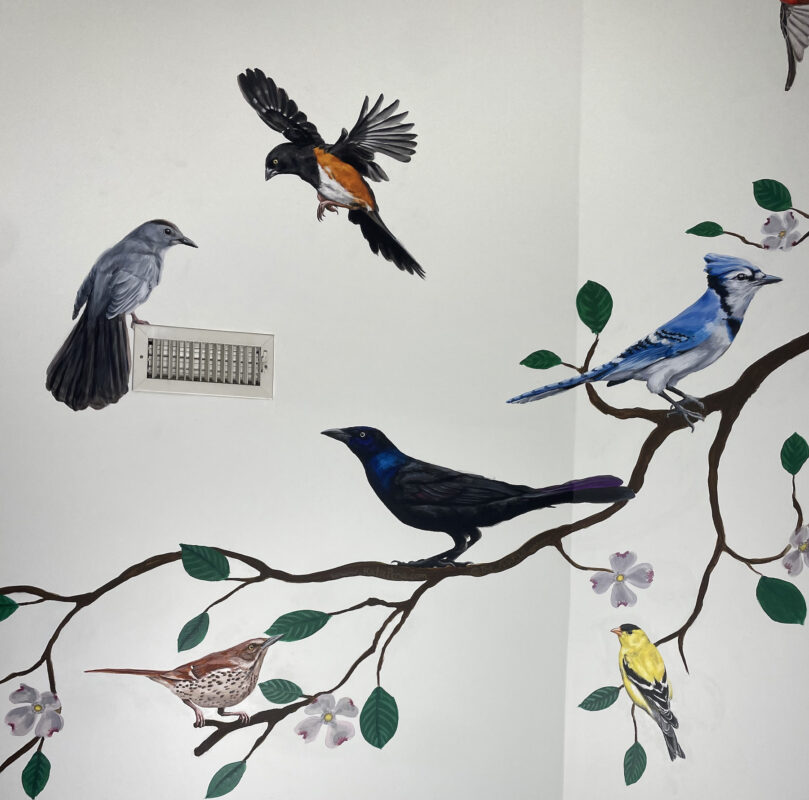 Gallery 2 - NC Birds Nursery Mural by Katie Peña Art